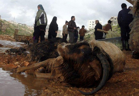 Storm hits Lebanon